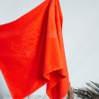 Луксозна плажна кърпа жакард в цвят Наситен корал от 100% мек памук, в прекрасен коралов цвят. Поръчай своята плажна кърпа сега! | Pamuk.bg снимка 3